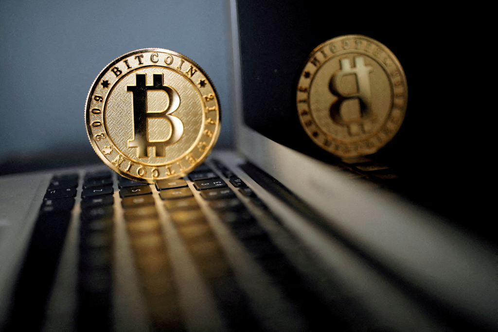 Prema provedenom istraživanju došli smo do podatka da svaka 226. osoba na svijetu posjeduje mali dio Bitcoina.